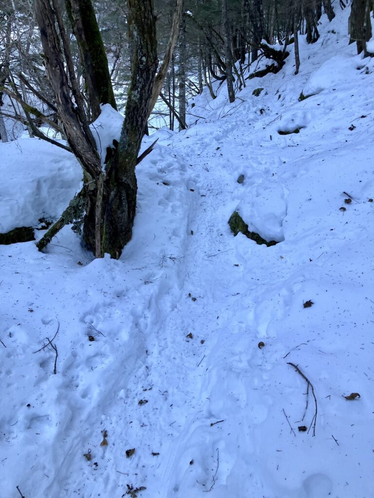 醤油樽の滝の登山道