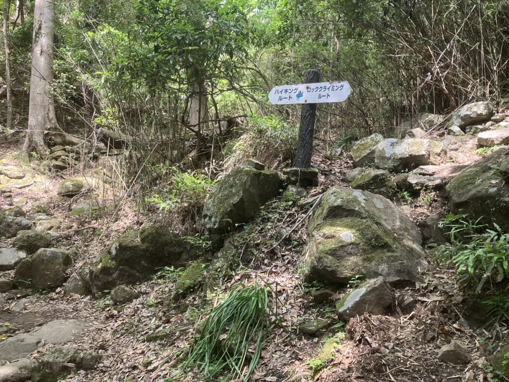 城山登山道 南壁の分岐