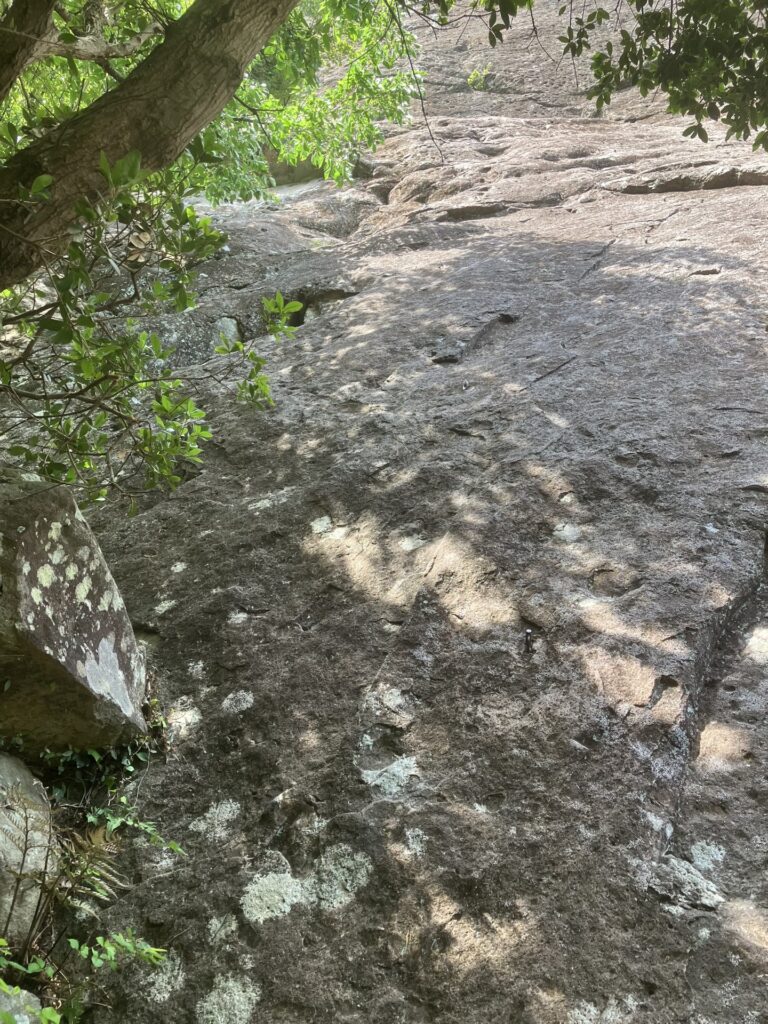 城山 南壁 ホームボーイ5.8