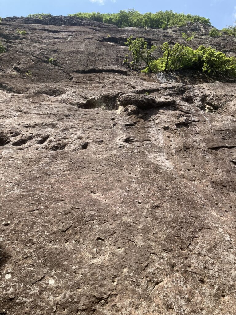 城山 南壁 とんとん拍子5.8 / バトルランナー 5.10b