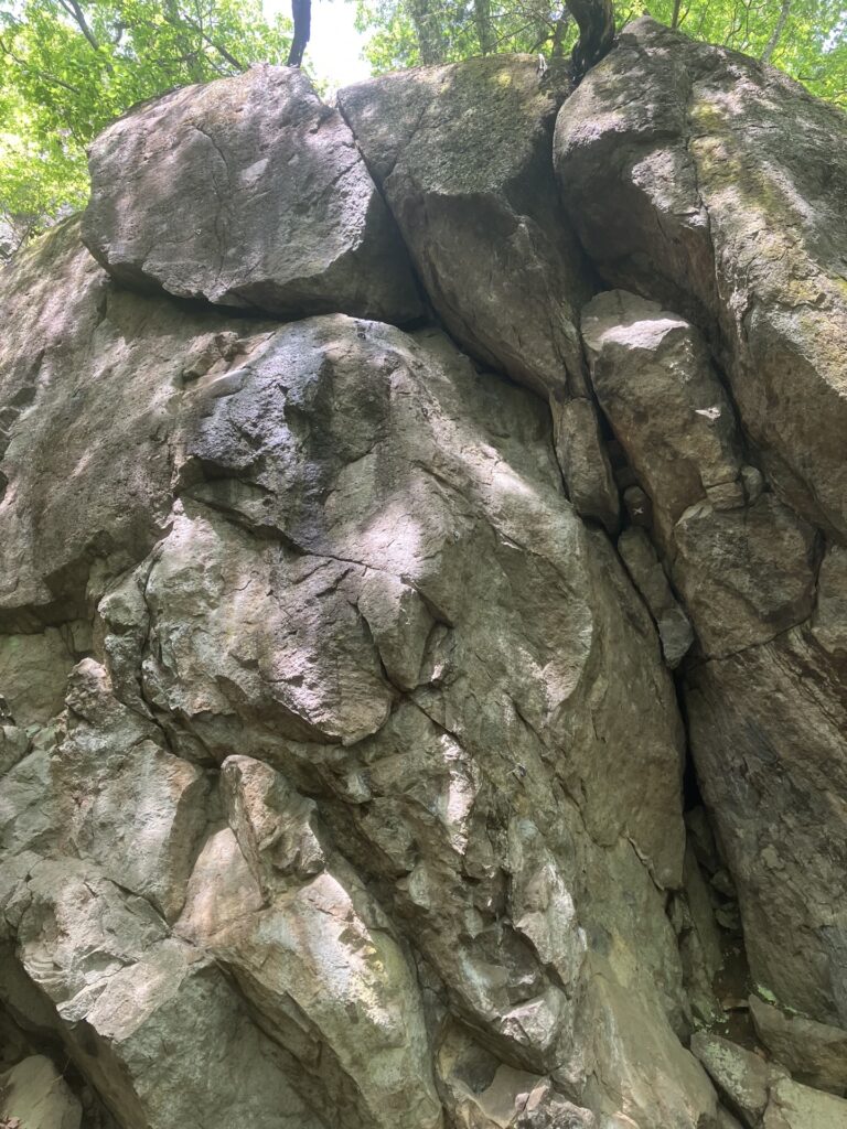大手門エリア1階 風 NP 5.9 / 林 NP 5.9 / 火山 5.11c / no name NP 5.9 / no name NP 5.10a