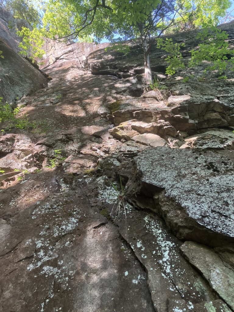大手門エリア1階 桃色小道5.10a