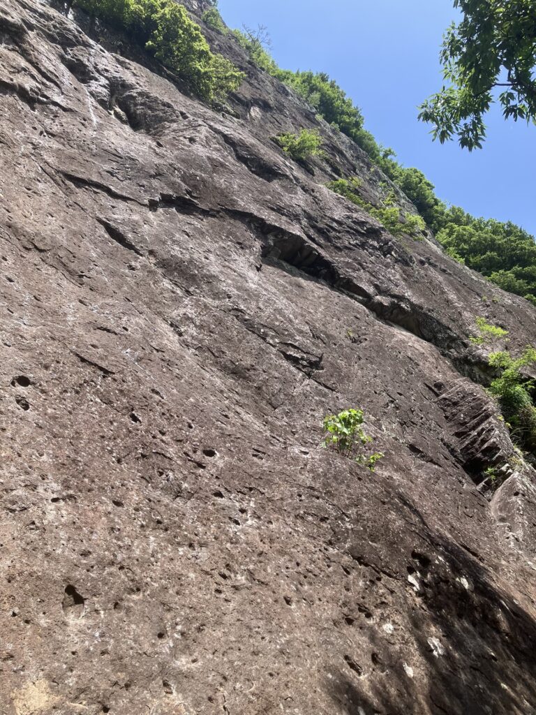 城山 南壁 ジプシーマリー5.10a / ブラッディマリー5.11c / タナバタのタナボタ5.10c / ロング・グットバイ5.10b / ボルサリーノ5.11b