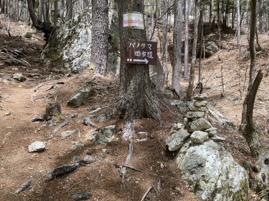 ソラマメスラブへ向かう尾根