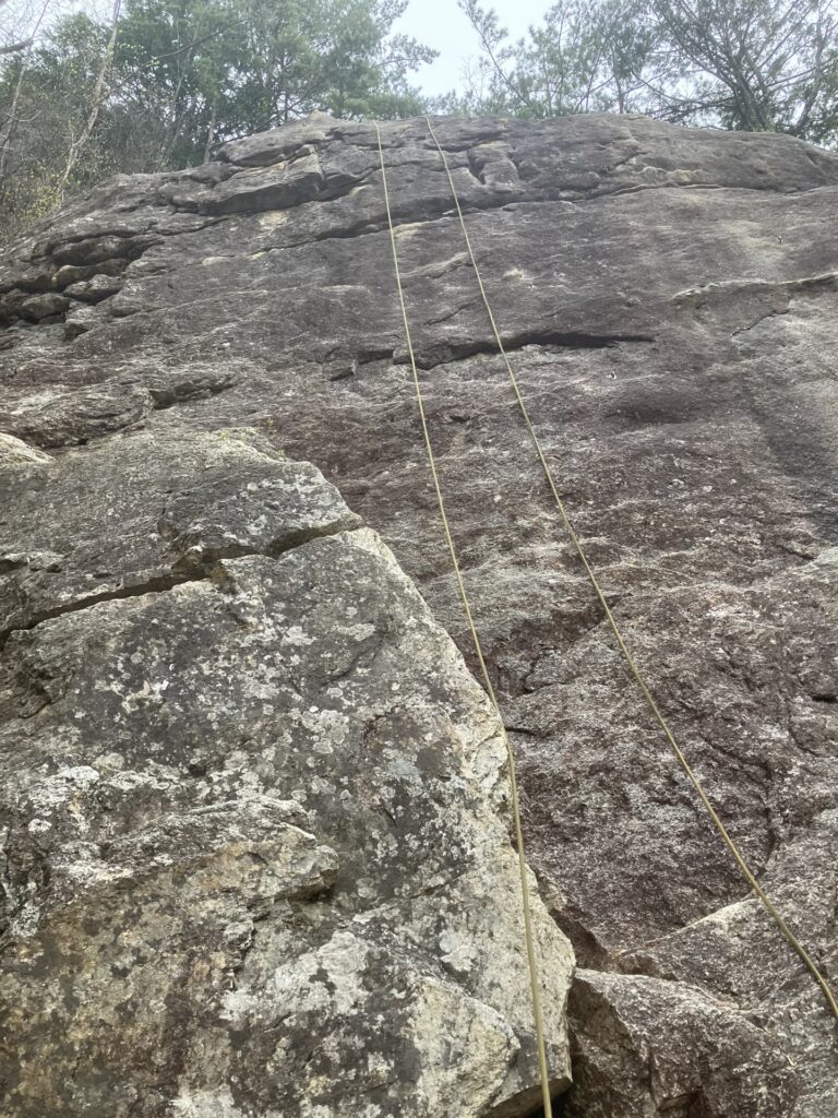 三色すみれ5.10a