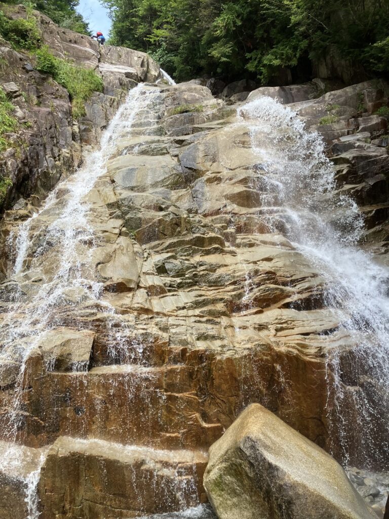 岩倉川樽ヶ沢 2条25×30m