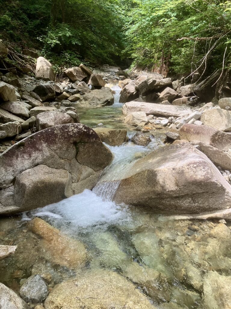 岩倉川樽ヶ沢 ゴルジュが終わり沢が緩やかに