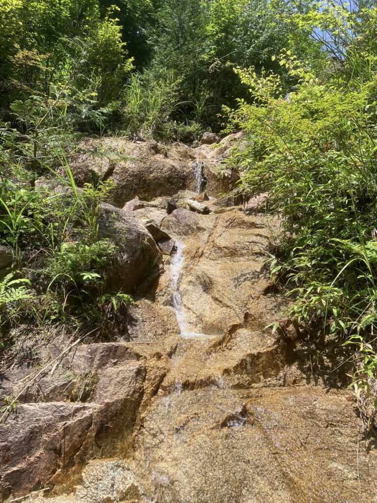 岩倉川樽ヶ沢 1100m地点で脱渓して右俣から尾根に詰める