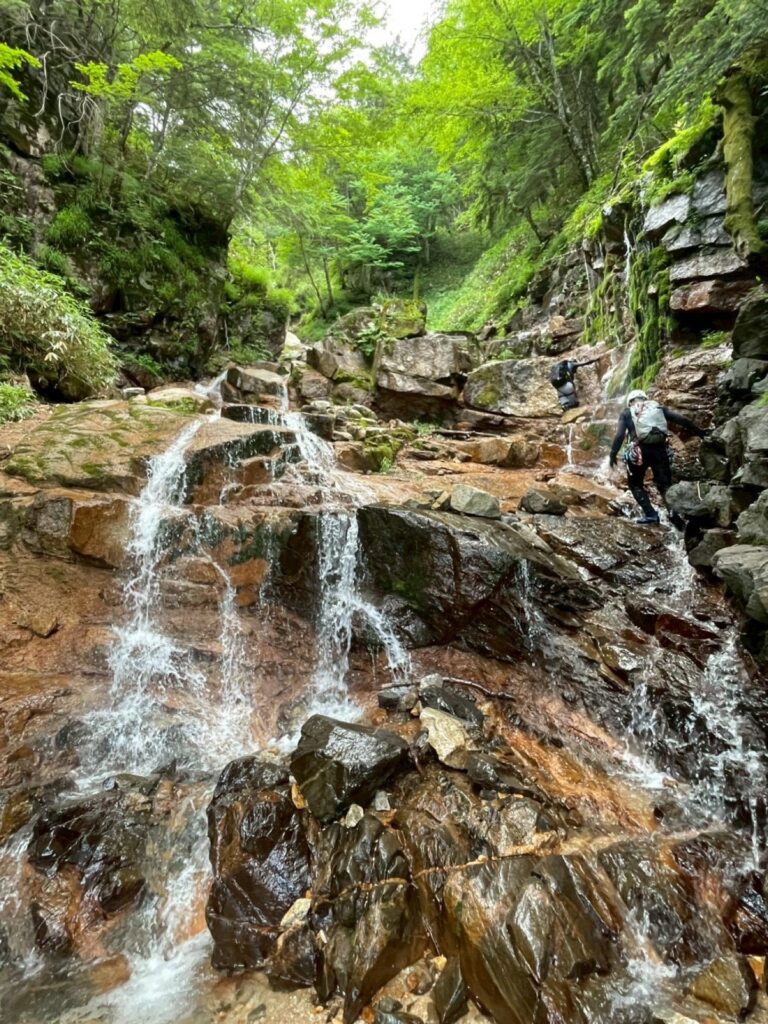 福栃沢 ヌメりがどんどん強くなる