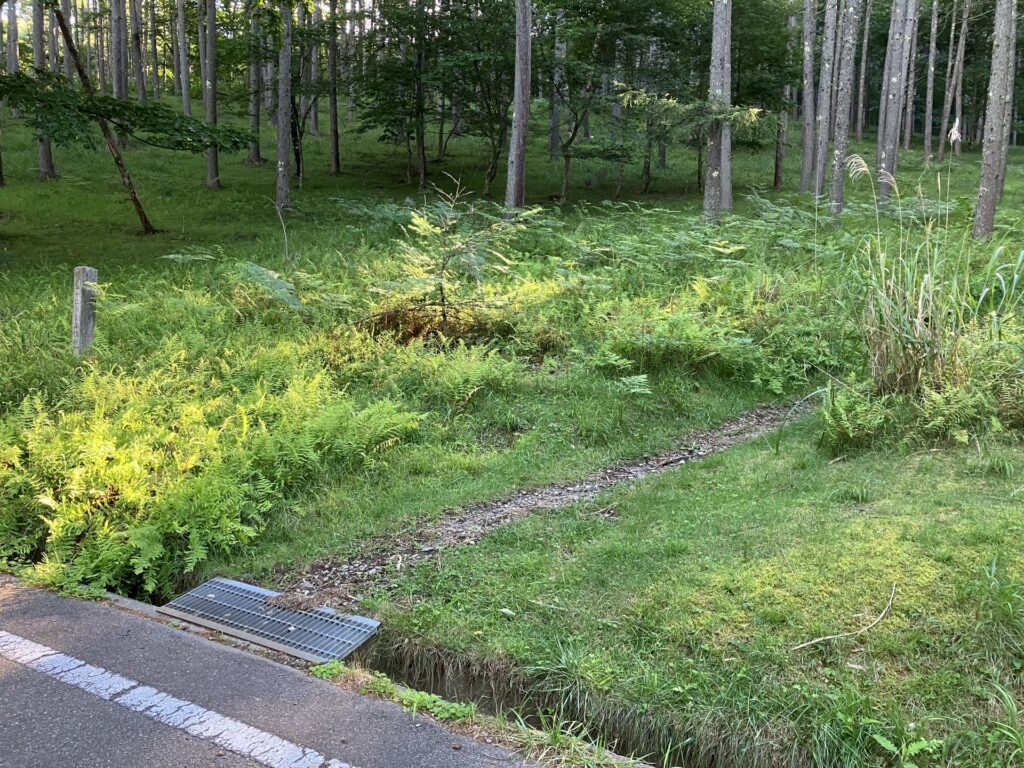 瑞牆山 パノラマコース入り口