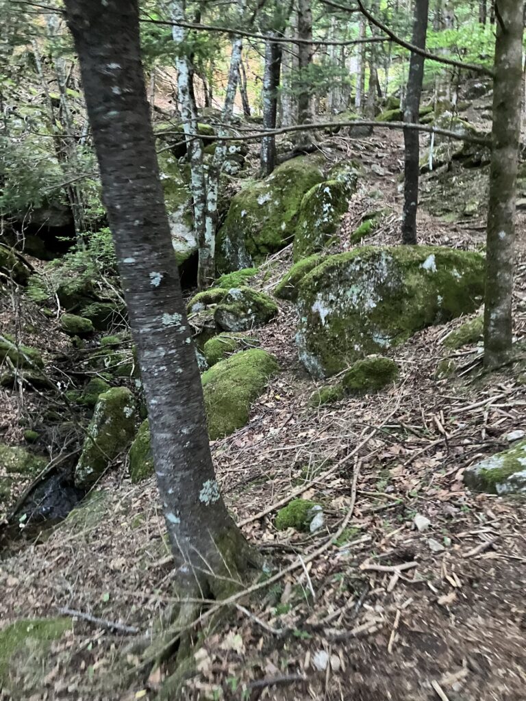 瑞牆山 パノラマコース
