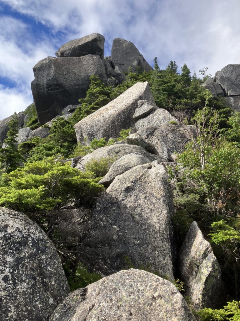 瑞牆山 トムソーヤの冒険 8ピッチ目 III コンテで山頂まで