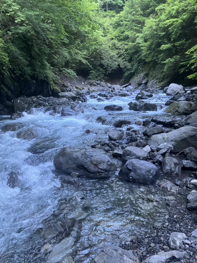 2日目は緩やかな渓相から