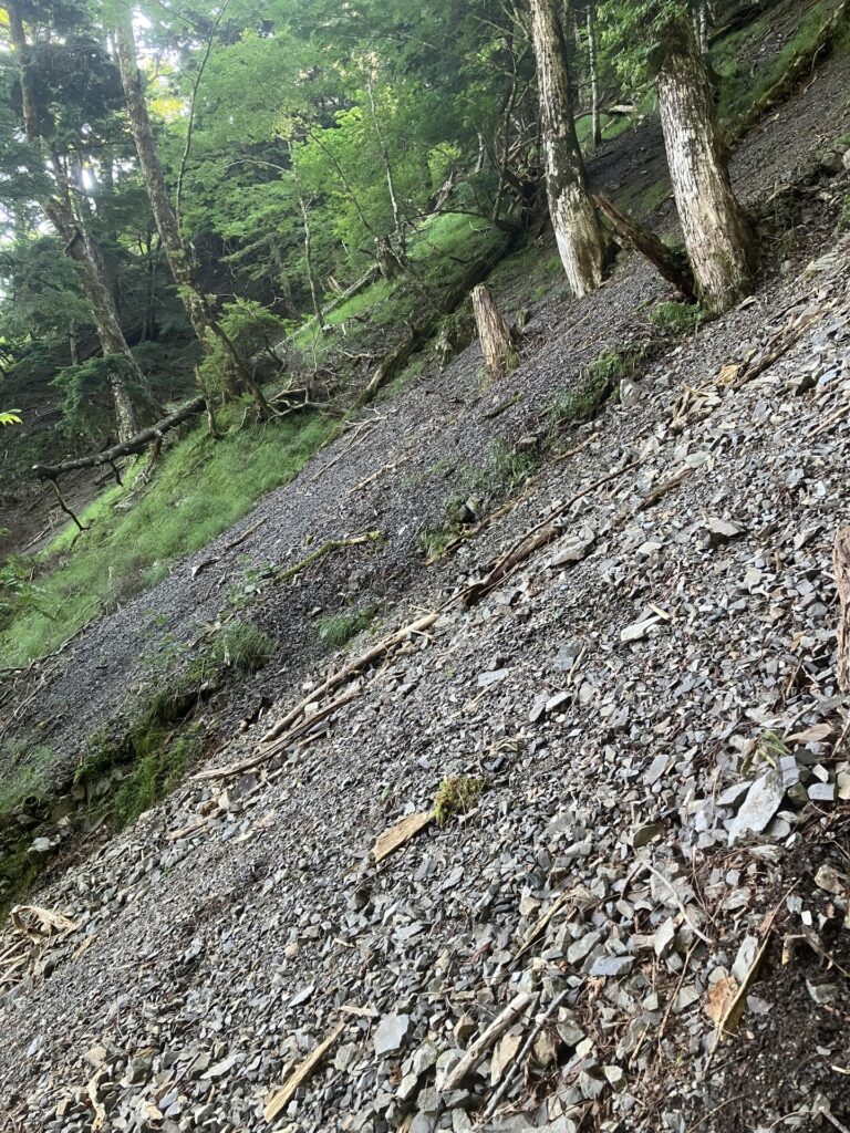 下西河内 左股 詰めのザレ