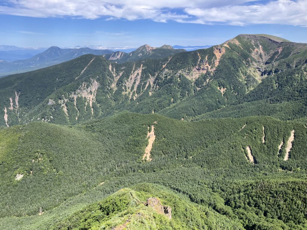 阿弥陀岳北西稜から振り返り 硫黄岳〜峰の松目が見える