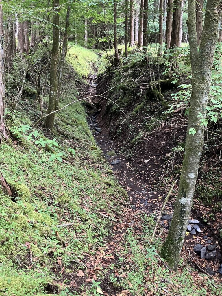 村山古道が沢のようにえぐれてる