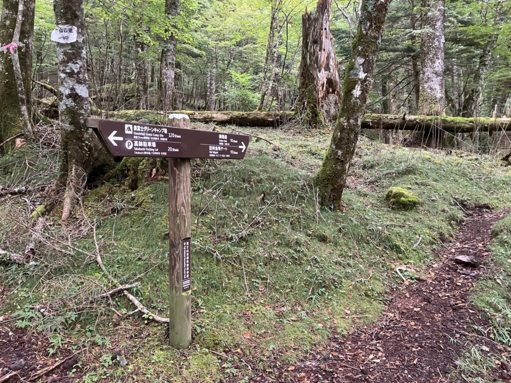 高鉢分岐