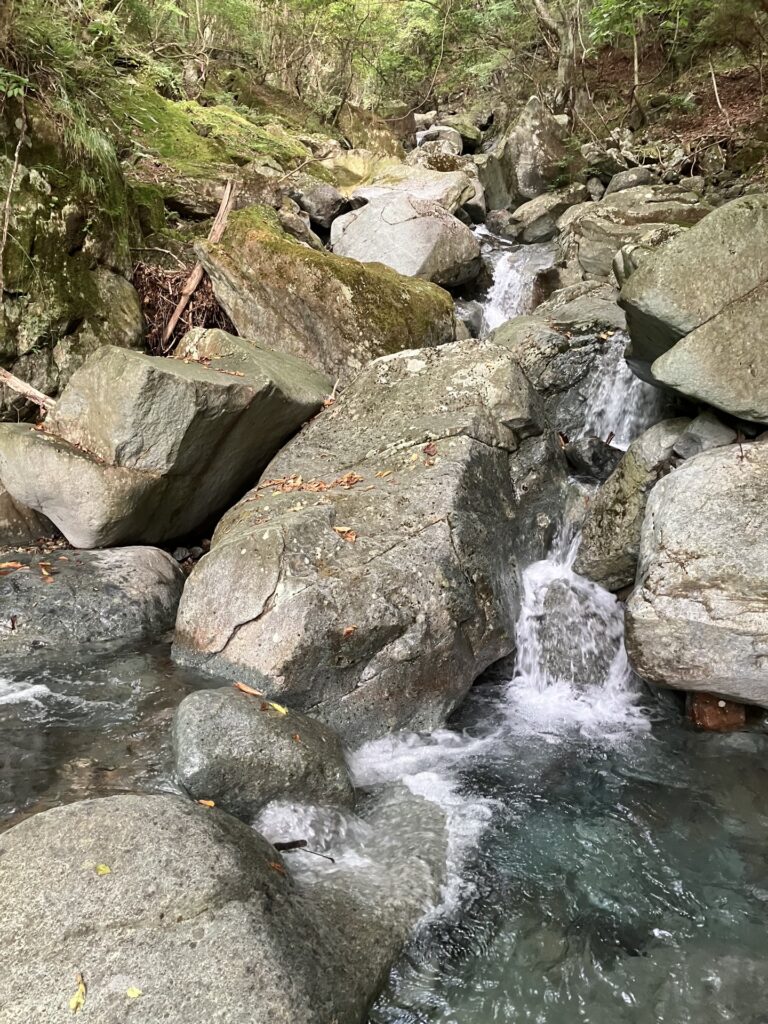 金山沢に入渓