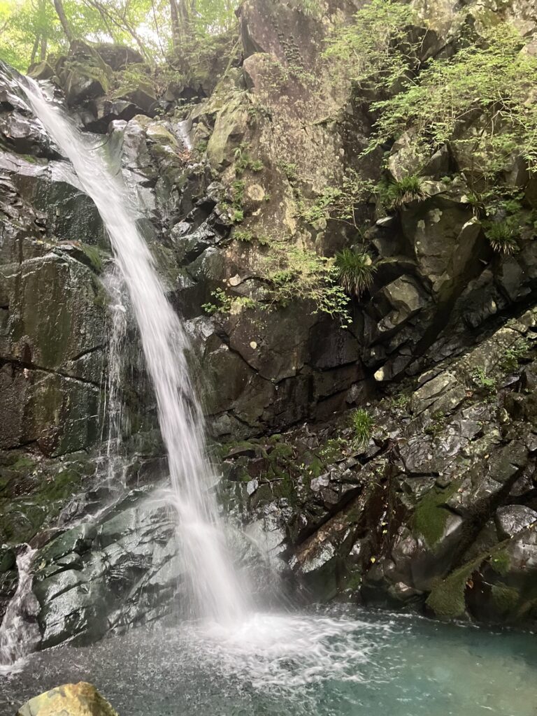 金山沢 12m滝