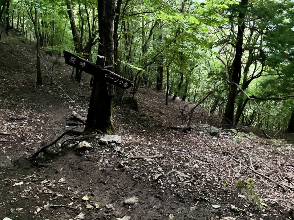 二子山西岳 ローソク岩に向かうトラバース道の分岐