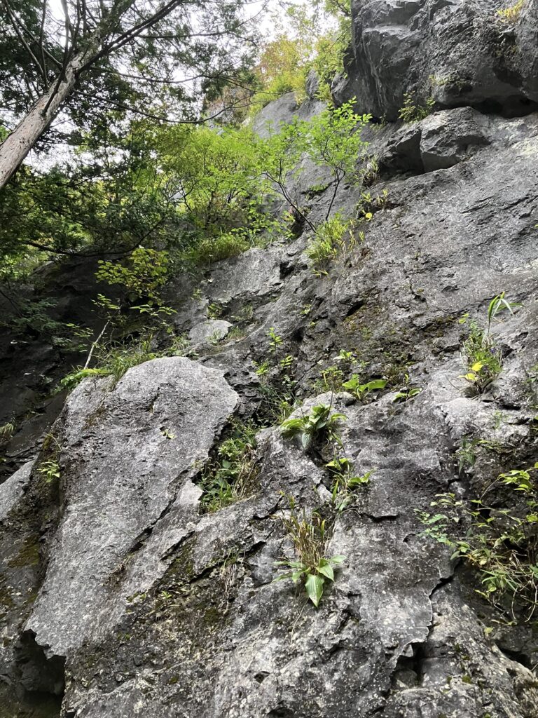 二子山中央稜1ピッチ目25m5.6