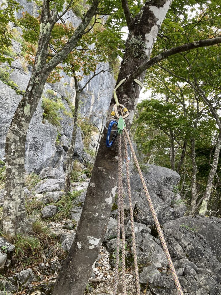 3ピッチ目の終了点は木で