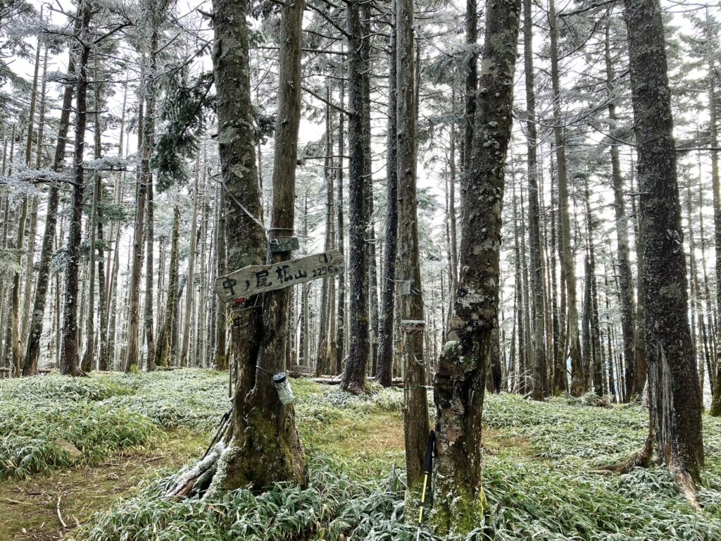 中ノ尾根山 山頂