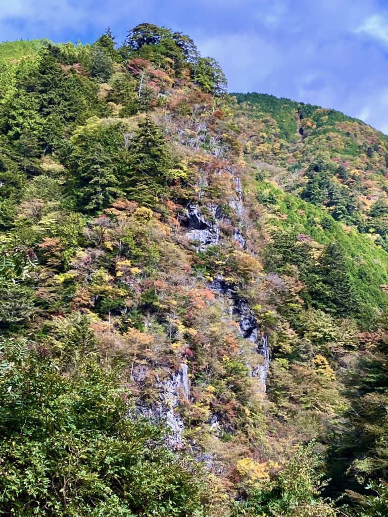白倉林道ゲート手前にそびえ立つ岩
