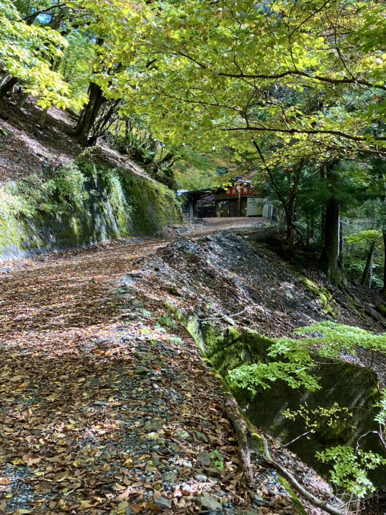 白倉林道の途中には小屋が数軒