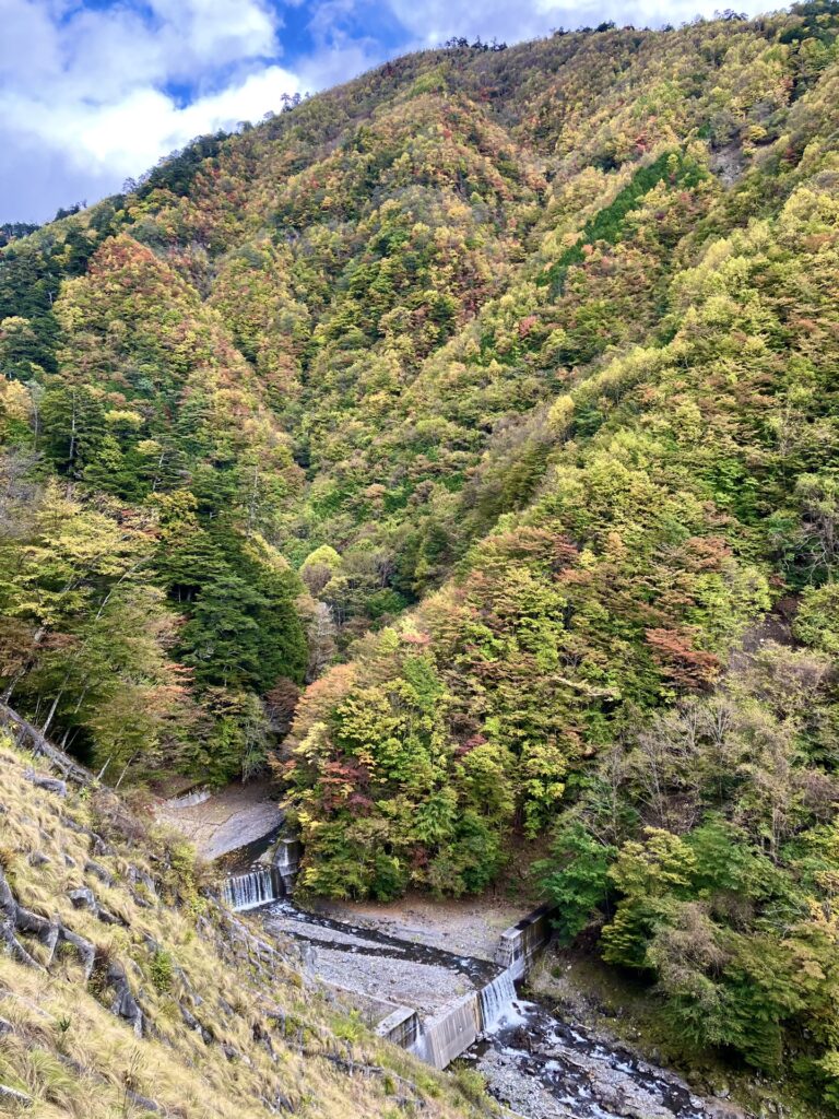 水窪川の堰堤と紅葉