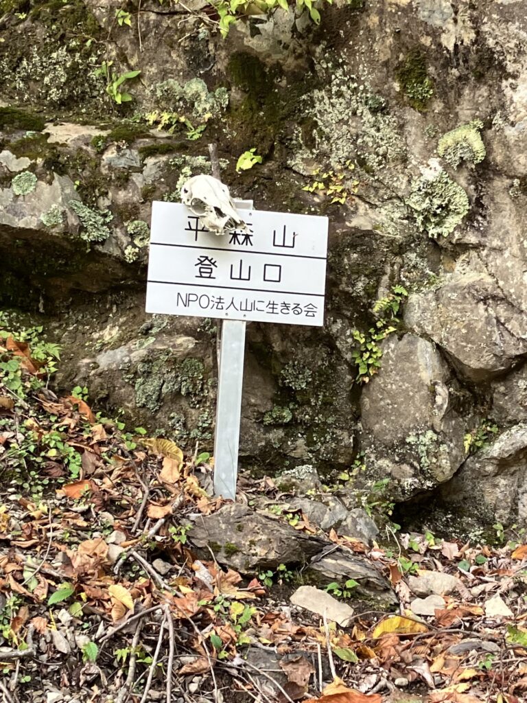 平森山登山口と鹿の頭蓋骨