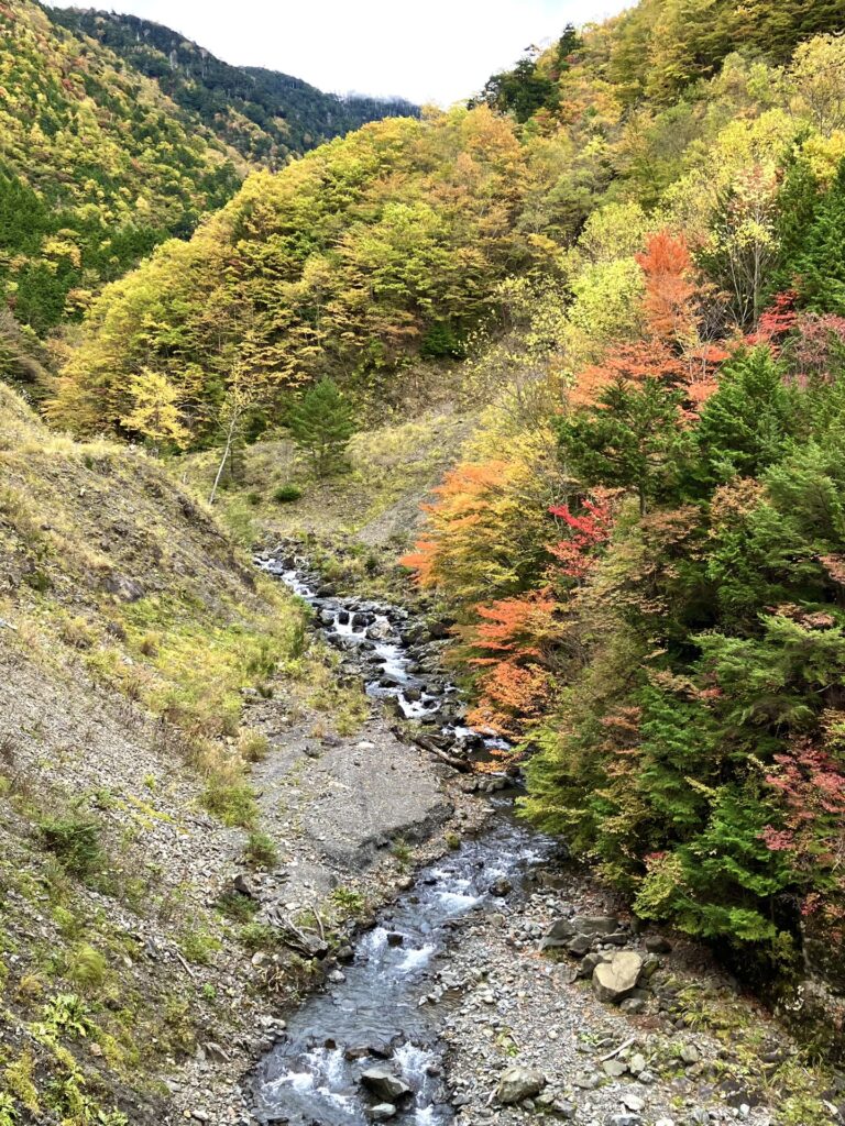 白倉橋手前 西俣沢の紅葉