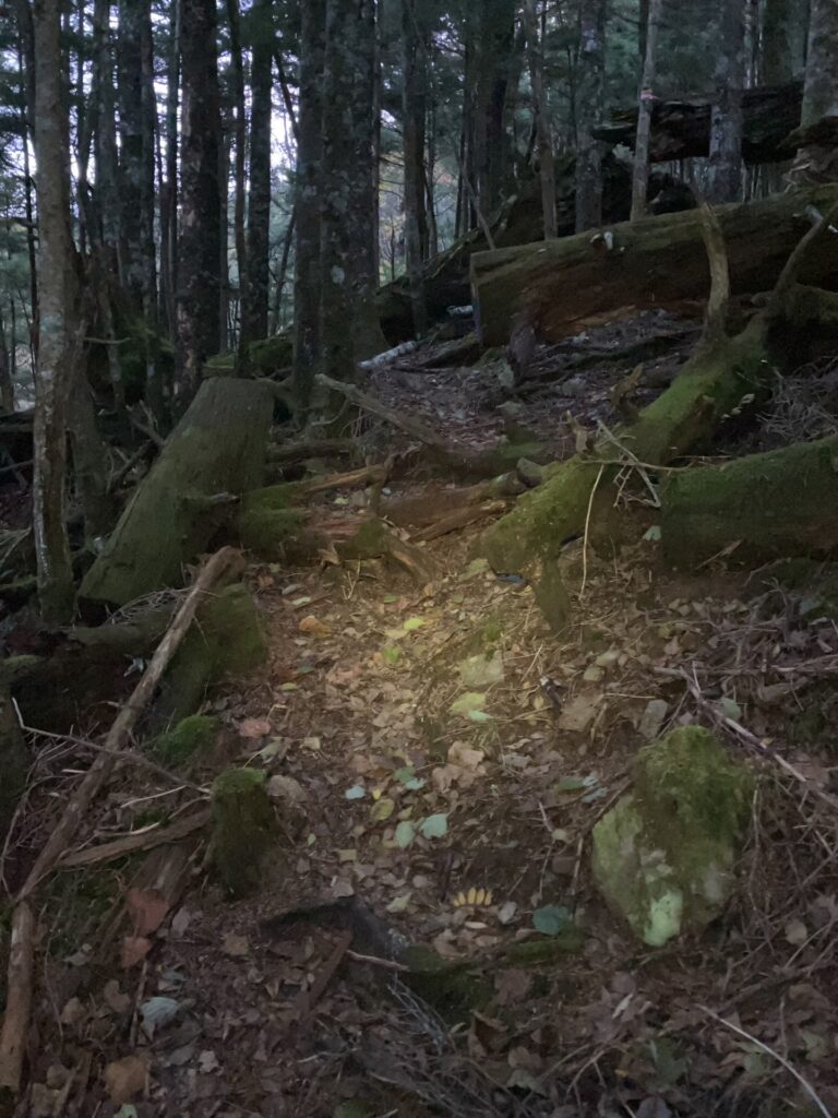 中ノ尾根山登山口の急登