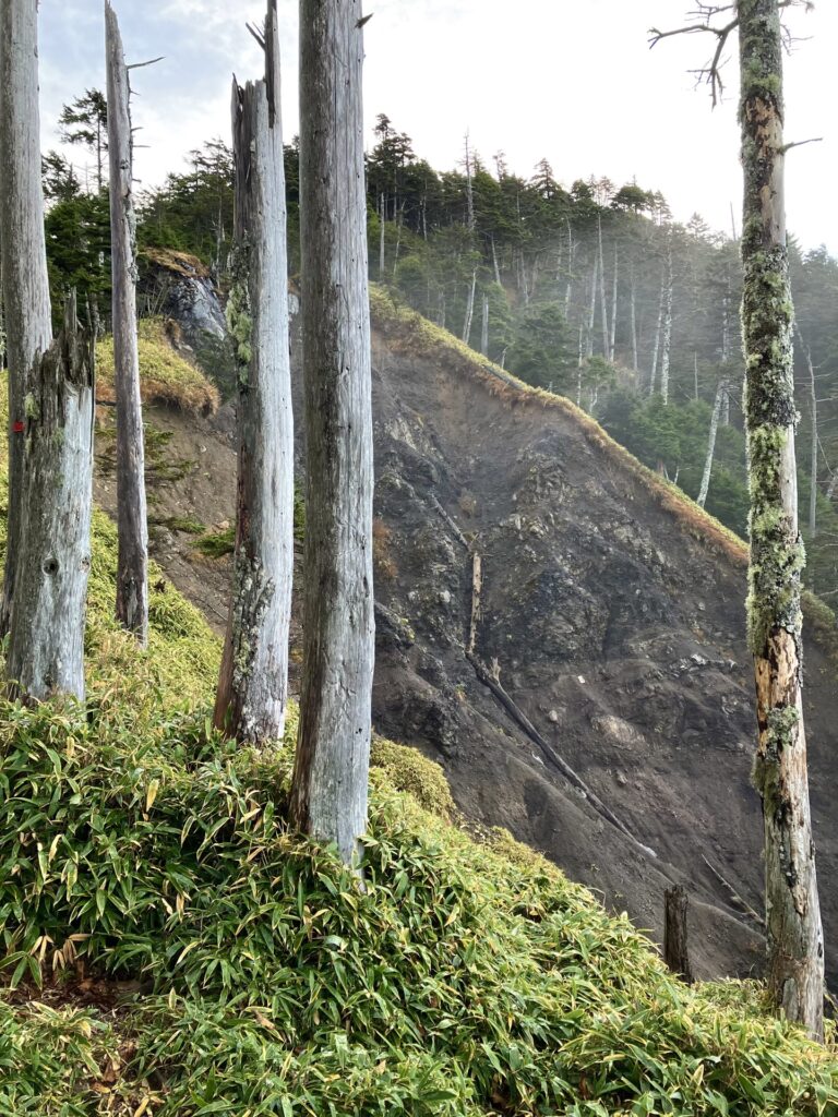 中ノ尾根の崩壊地