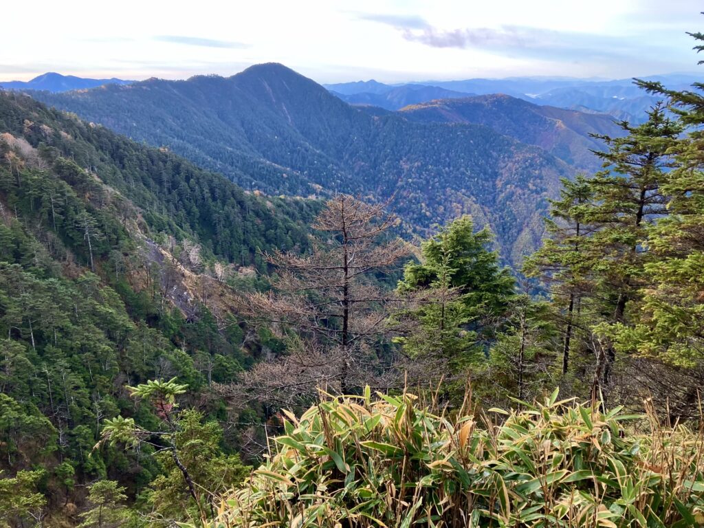 中ノ尾根より黒沢山