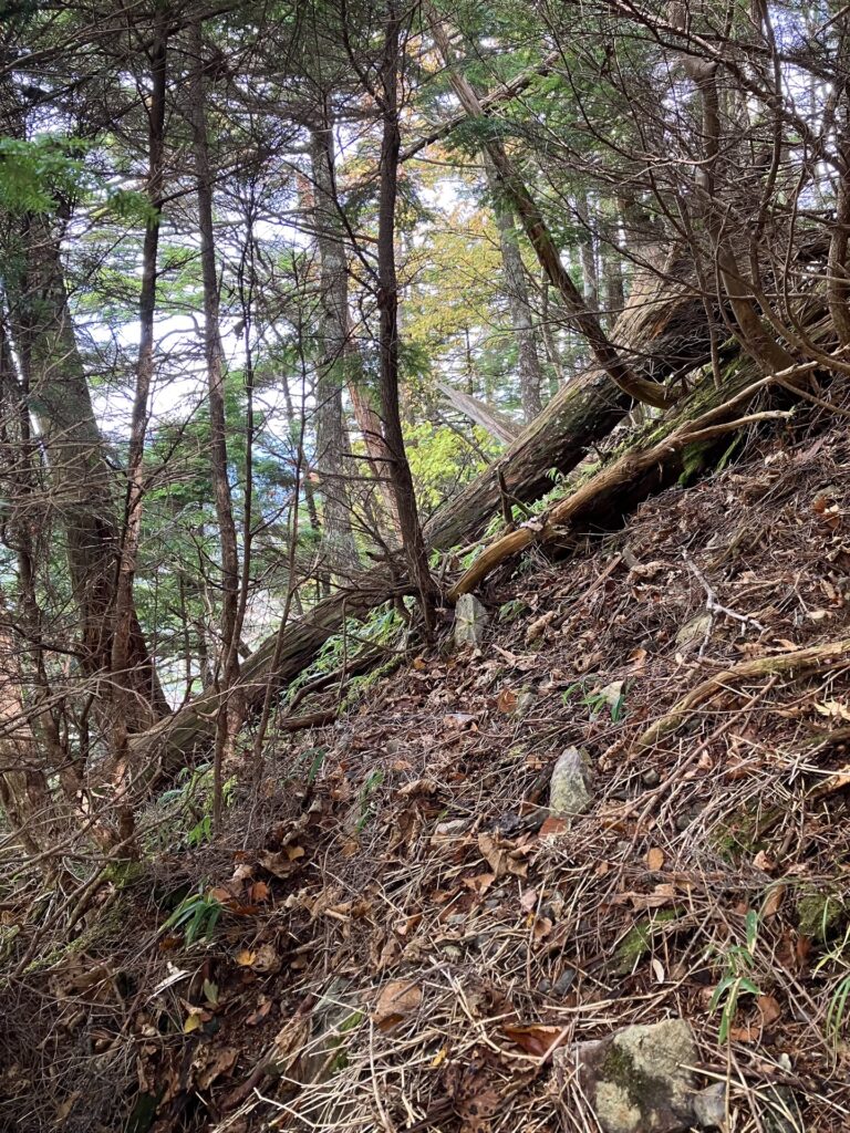 合地山I峰の急登