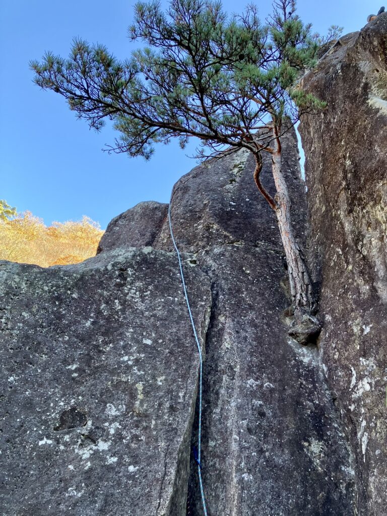 太刀岡山左岩稜 5ピッチ目 5.7 ハンド